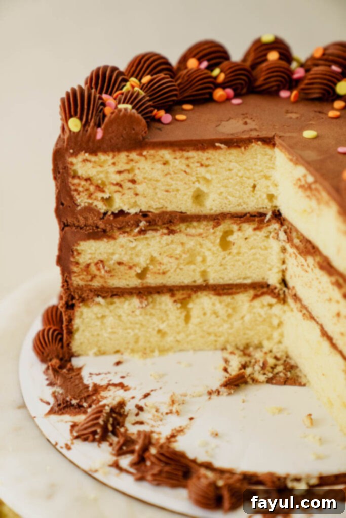 Yellow cake slice with chocolate frosting on a plate, close up