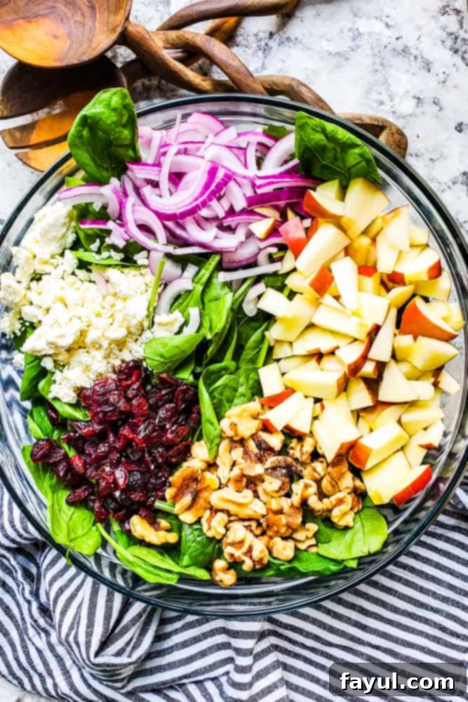 The BEST Healthy Spinach Apple Salad with Homemade Honey Balsamic Vinaigrette. This recipe is perfect for holidays, a side dish or main course. This vegetarian salad is packed with dried cranberries, feta, red onion, apples, and walnuts for the perfect combo. Video included! #salad #healthy #recipe #Food #vegetarianfood #vegetarian Salad ingredients all on top of salad in a glass bowl on a white counter.