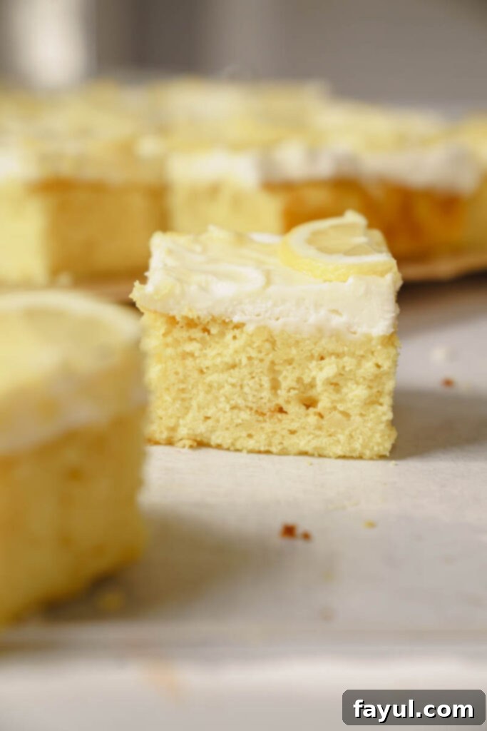 Lemon Sheet Cake texture