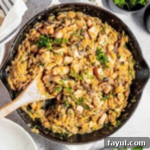 Close up overhead shot of orzo pasta garnished with fresh herbs in a large skillet with a Woden spoon and white cloth on the side.