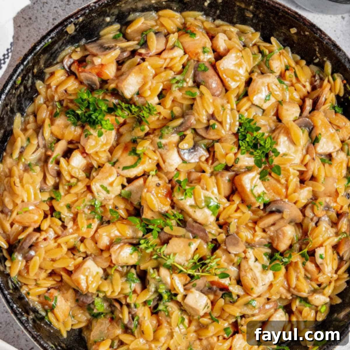 Overhead view of process shot 7 - the finished one-pot chicken mushroom orzo pasta dish, garnished with more fresh herbs, still in the large skillet, ready to be served.