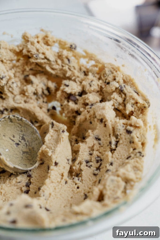 Effortless Edible Cookie Dough Bliss 4 Edible cookie dough mixed with chocolate chips and ready to eat