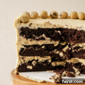 Chocolate Cookie Dough Cake