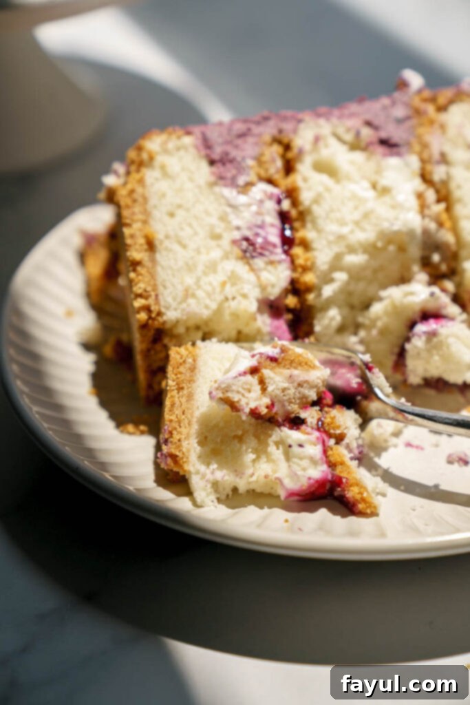 Slice of blueberry cheesecake cake showing layers of cake, cheesecake, and compote