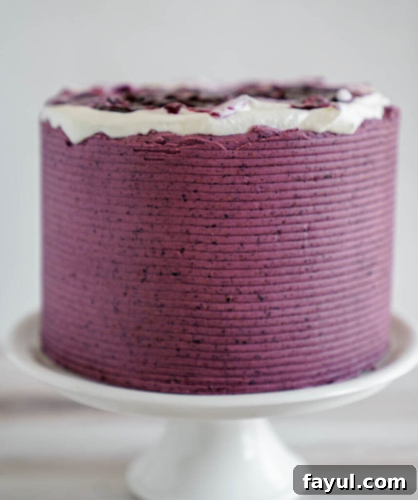 Assembly process of blueberry cheesecake cake showing layers being added