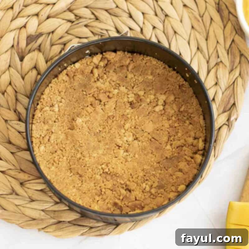 Velvet Mango No-Bake Delight 4 Overhead view of process shot 1 - combine digestive biscuit crumbs with melted butter and press the mixture into the base of a springform pan to create a level crust. Place in the refrigerador to set.