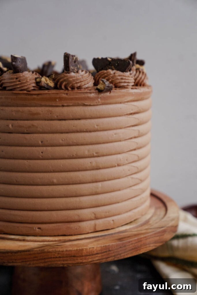 Serving slice of Chocolate Graham Cracker Cake