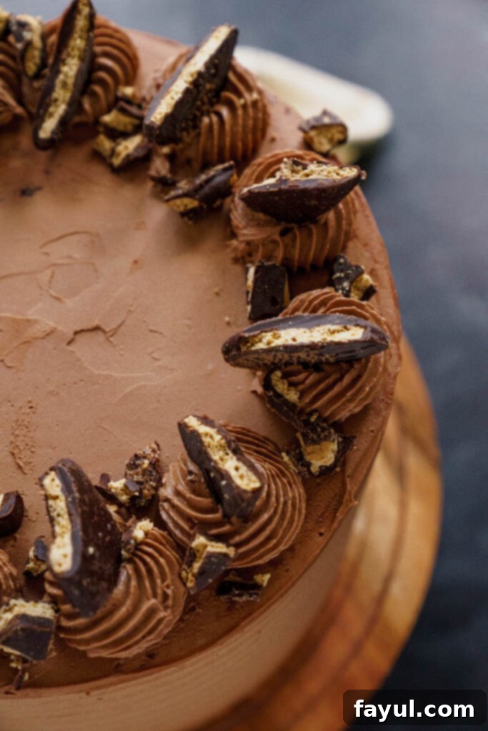 Close-up of Chocolate Graham Cracker Cake slice with rich frosting