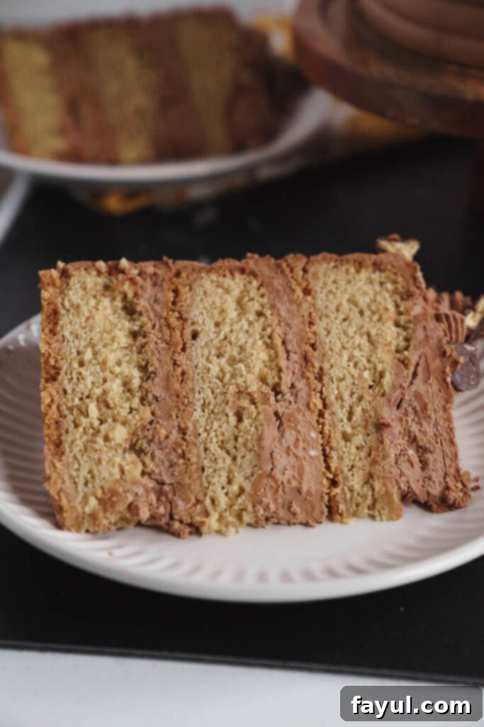 Delicious slice of Chocolate Graham Cracker Cake