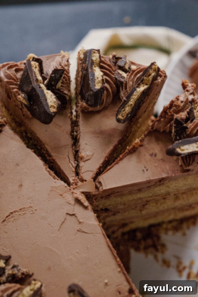 Top view of Chocolate Graham Cracker Cake with decorations