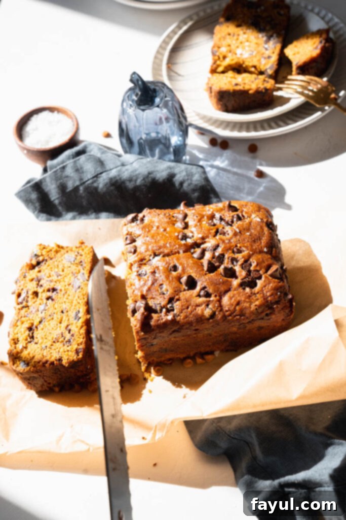 Two enticing slices of pumpkin chocolate chip bread, one placed atop the other, on a textured background, emphasizing their deliciousness.