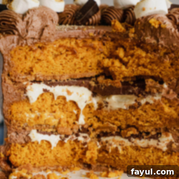 Pumpkin S'more Cake