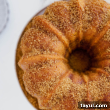 Pumpkin Churro Bundt Cake