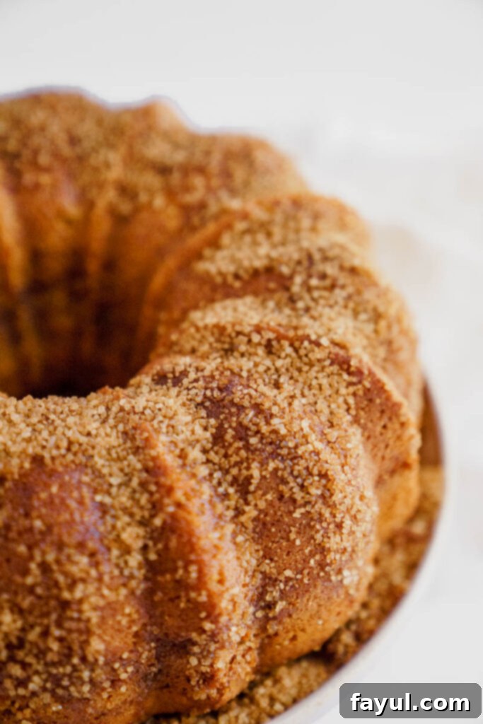 Close-up of the Churro sugar coating on a Pumpkin Bundt Cake
