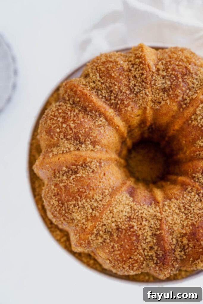 Close-up of a Pumpkin Churro Bundt Cake slice