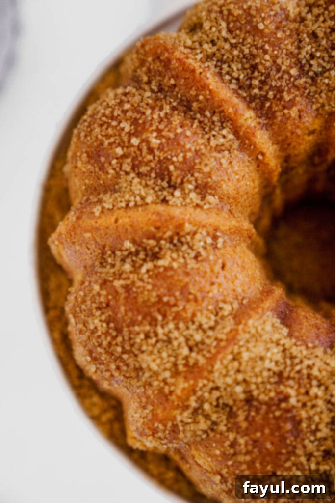 Two slices of Pumpkin Churro Bundt Cake on a plate