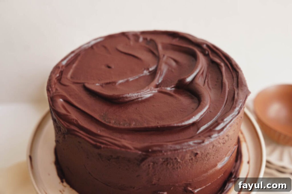 finished chocolate fudge cake
