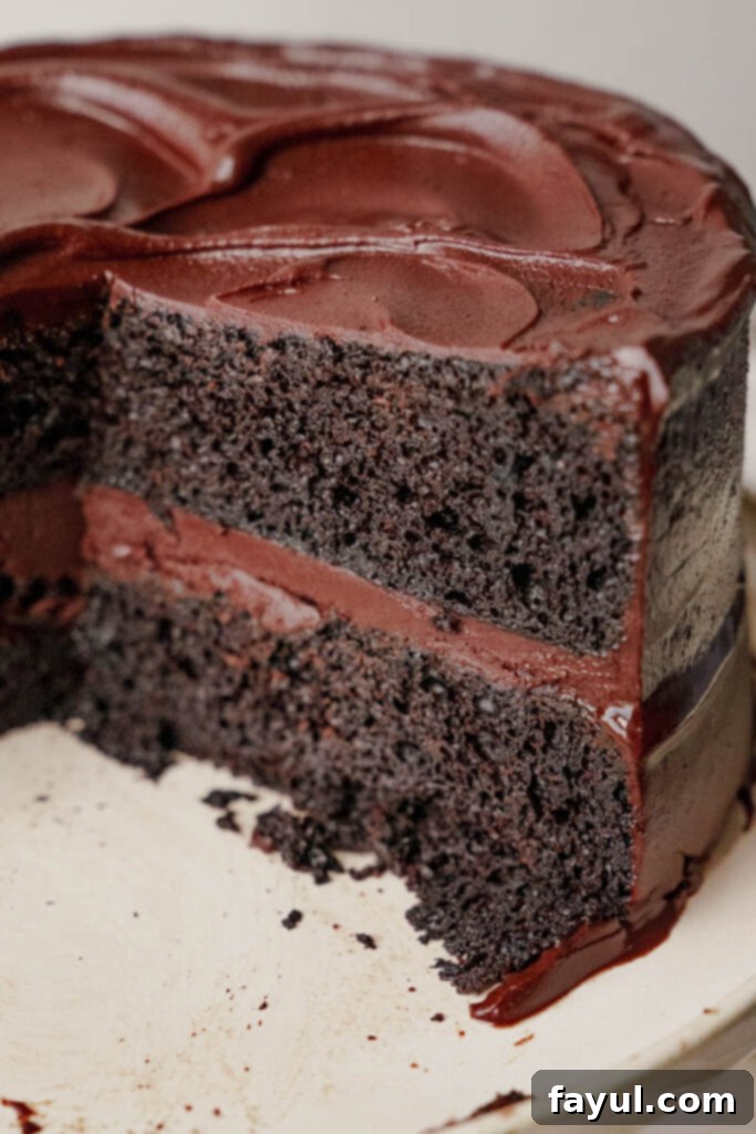 chocolate cake slice