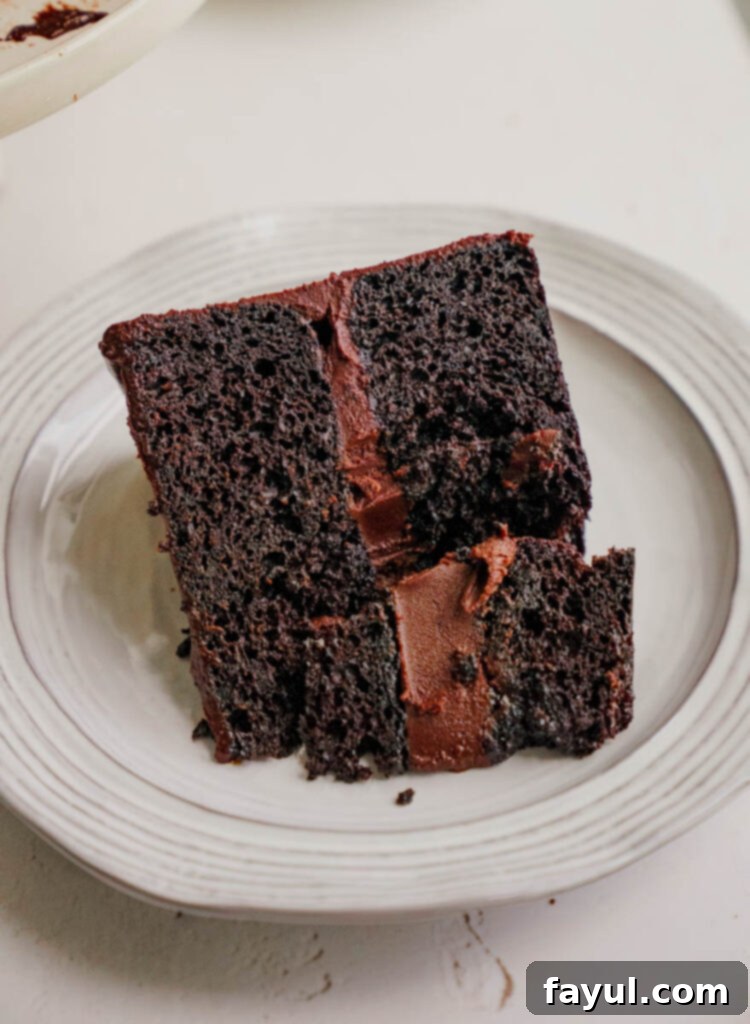 whole chocolate fudge cake