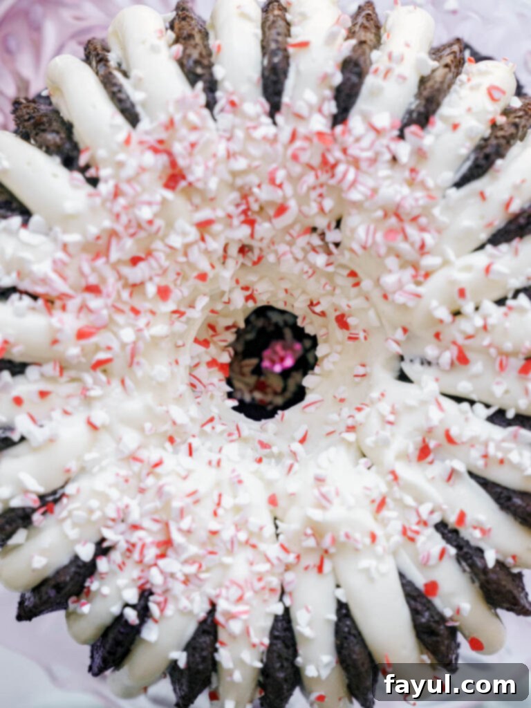 chocolate peppermint bundt cake close up