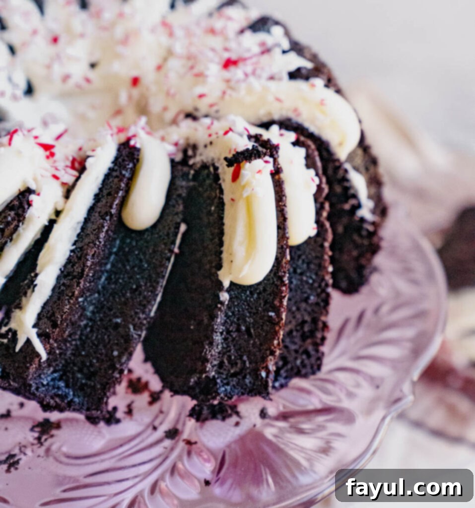 chocolate peppermint bundt cake with a sprig of mint