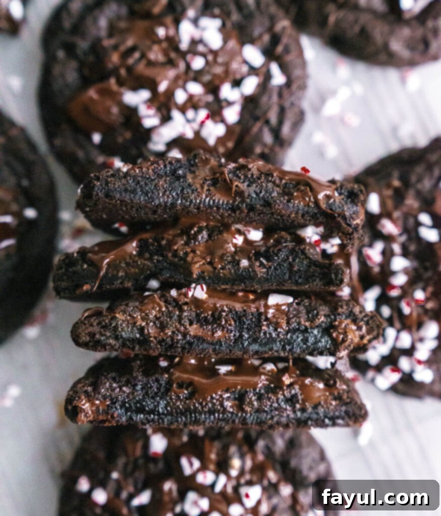 Festive Double Chocolate Peppermint Cookies on a white plate