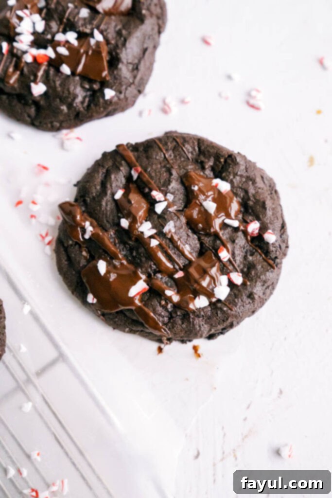 Close-up of a stack of Double Chocolate Peppermint Cookies with peppermint drizzle