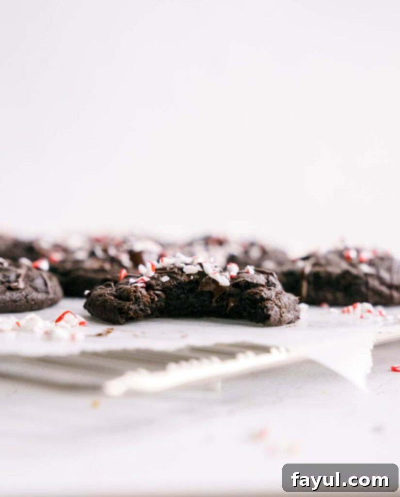 Double Chocolate Peppermint Cookies with a sprinkle of crushed candy cane