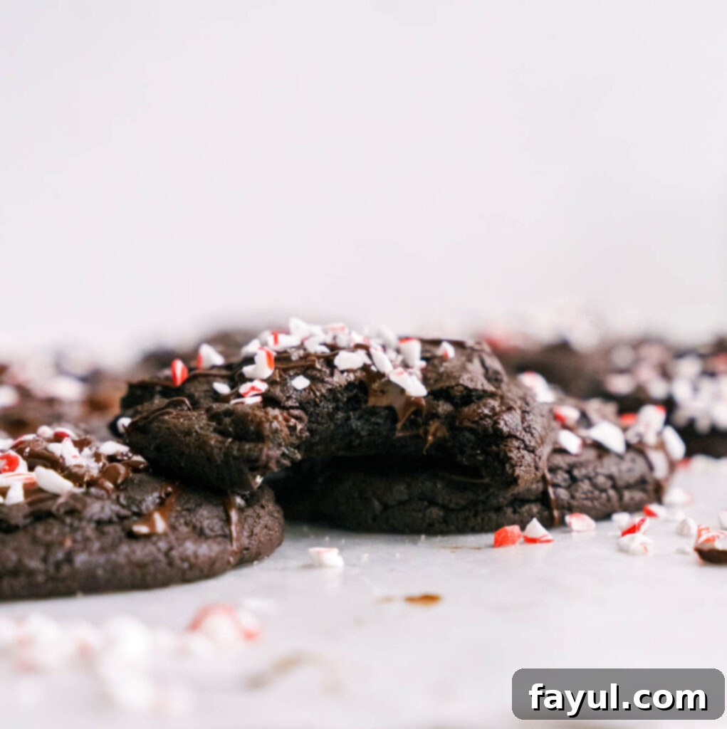 Two Double Chocolate Peppermint Cookies on a white background, one dipped in chocolate