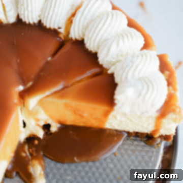 Delightful Pear Cheesecake with Gingersnap Crust