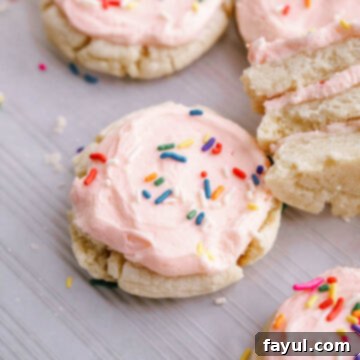 Lofthouse Sugar Cookie Copycat Recipe Image - Frosted cookie example