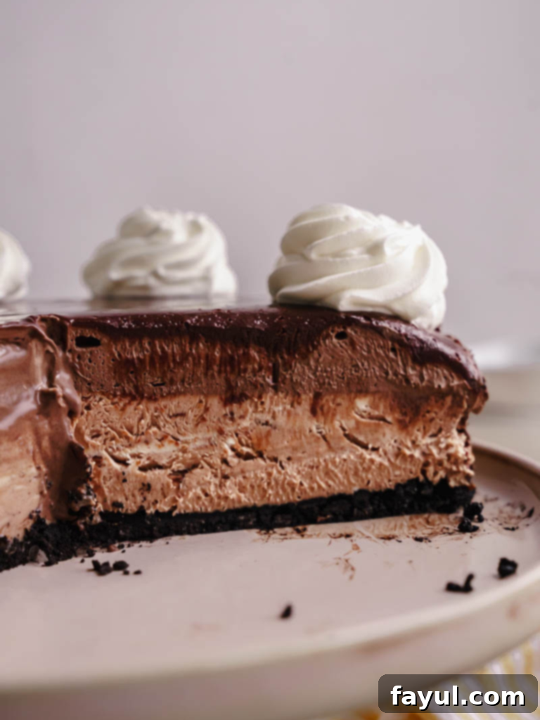 Chocolate Mousse Cheesecake