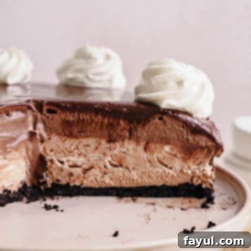 Decadent Chocolate Mousse Cheesecake