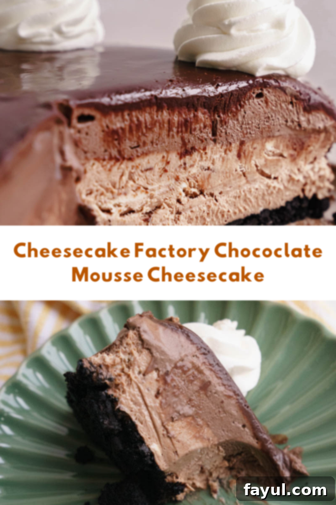 Large slices of Chocolate Mousse Cheesecake