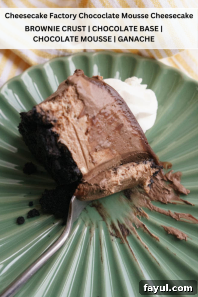 Multiple slices of Chocolate Mousse Cheesecake