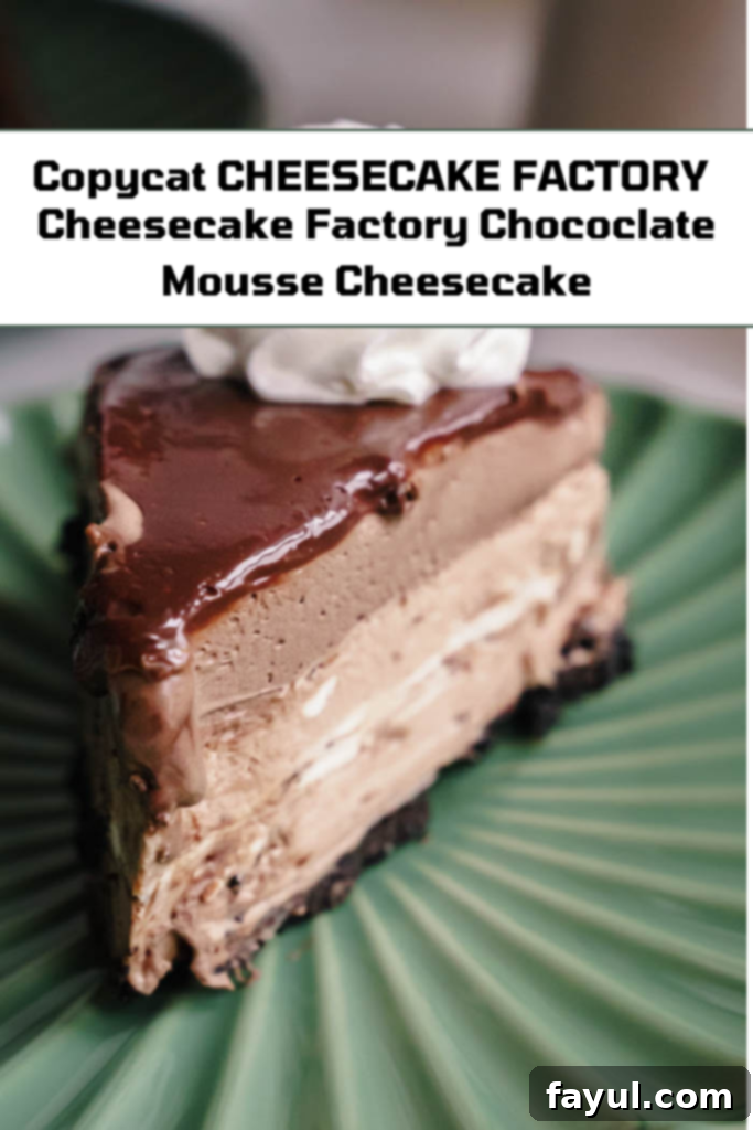 Overhead view of Chocolate Mousse Cheesecake slices