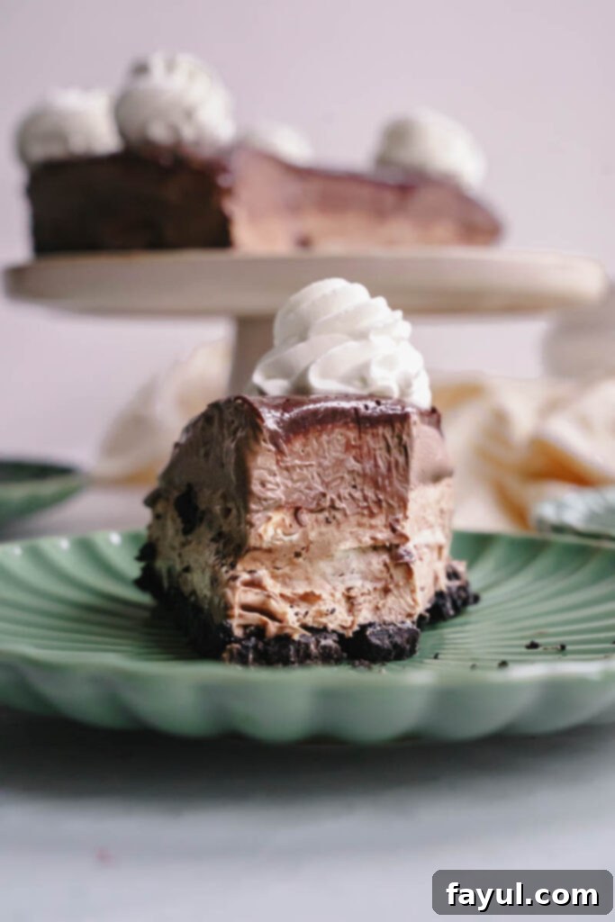 Close-up of Chocolate Mousse Cheesecake