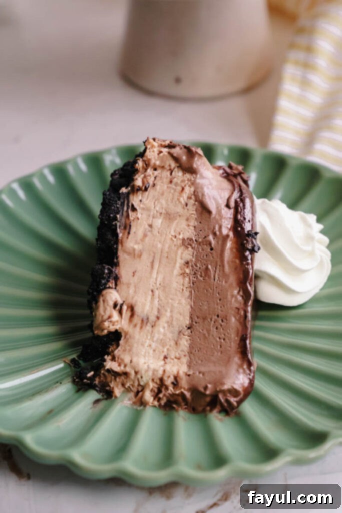 Another angle of Chocolate Mousse Cheesecake