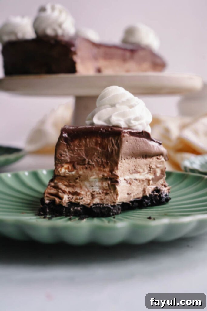Chocolate Mousse Cheesecake from above