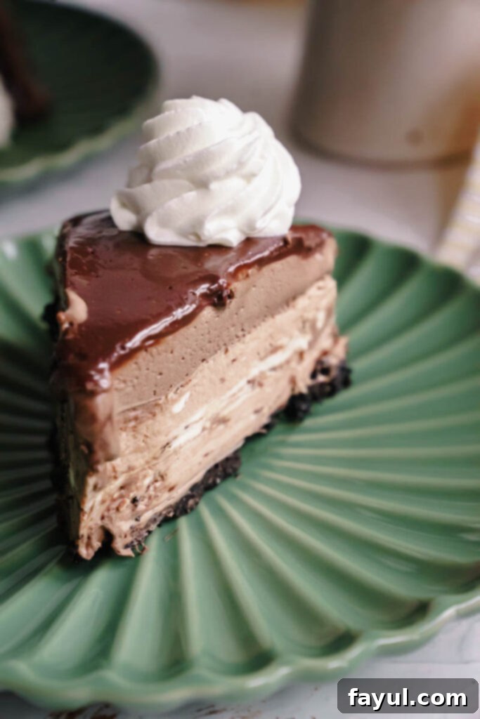 Overhead view of Chocolate Mousse Cheesecake