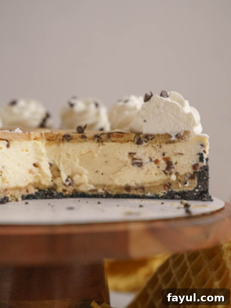 Decadent Cookie Dough Cheesecake with layers of chocolate crust, cookie dough, and creamy cheesecake