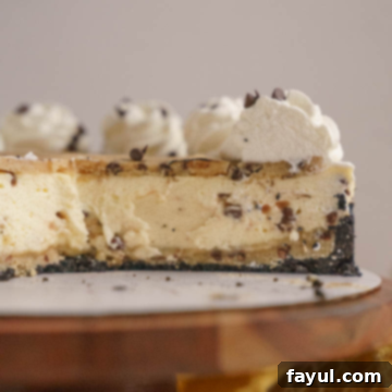 Cookie Dough Cheesecake