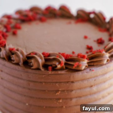 Red Velvet Cake with Chocolate Frosting