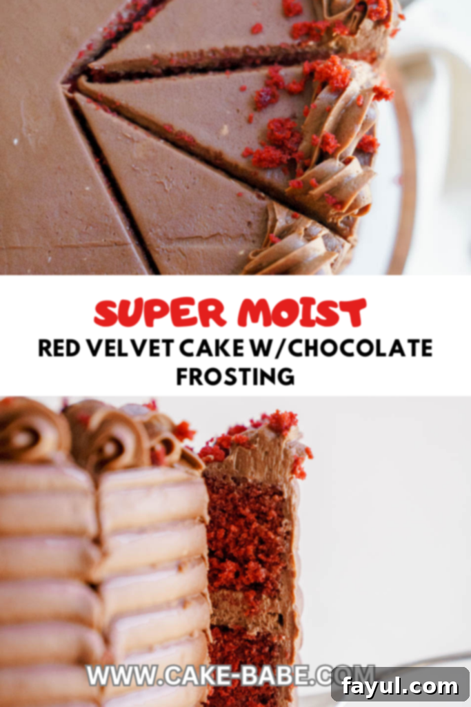 red velvet cake slice with chocolate frosting