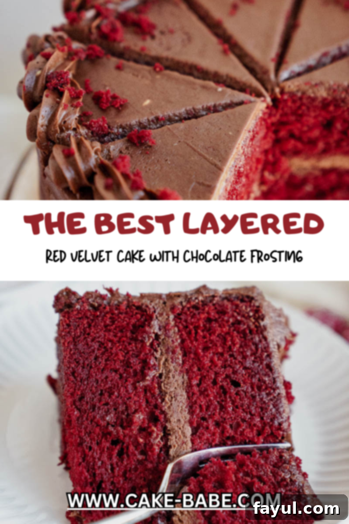 red velvet cake with chocolate frosting