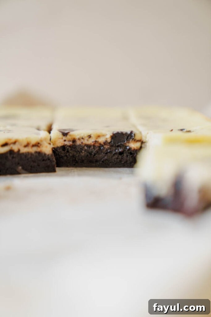 Close-up of baked cheesecake brownies, showing the fudgy texture and delicate cheesecake swirl.