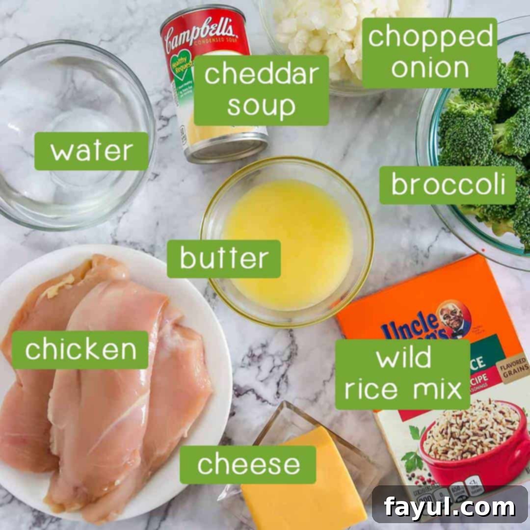 Overhead view of ingredients- water, cheddar soup, chopped onion, broccoli, butter, wild rice mix, chicken, and cheese.