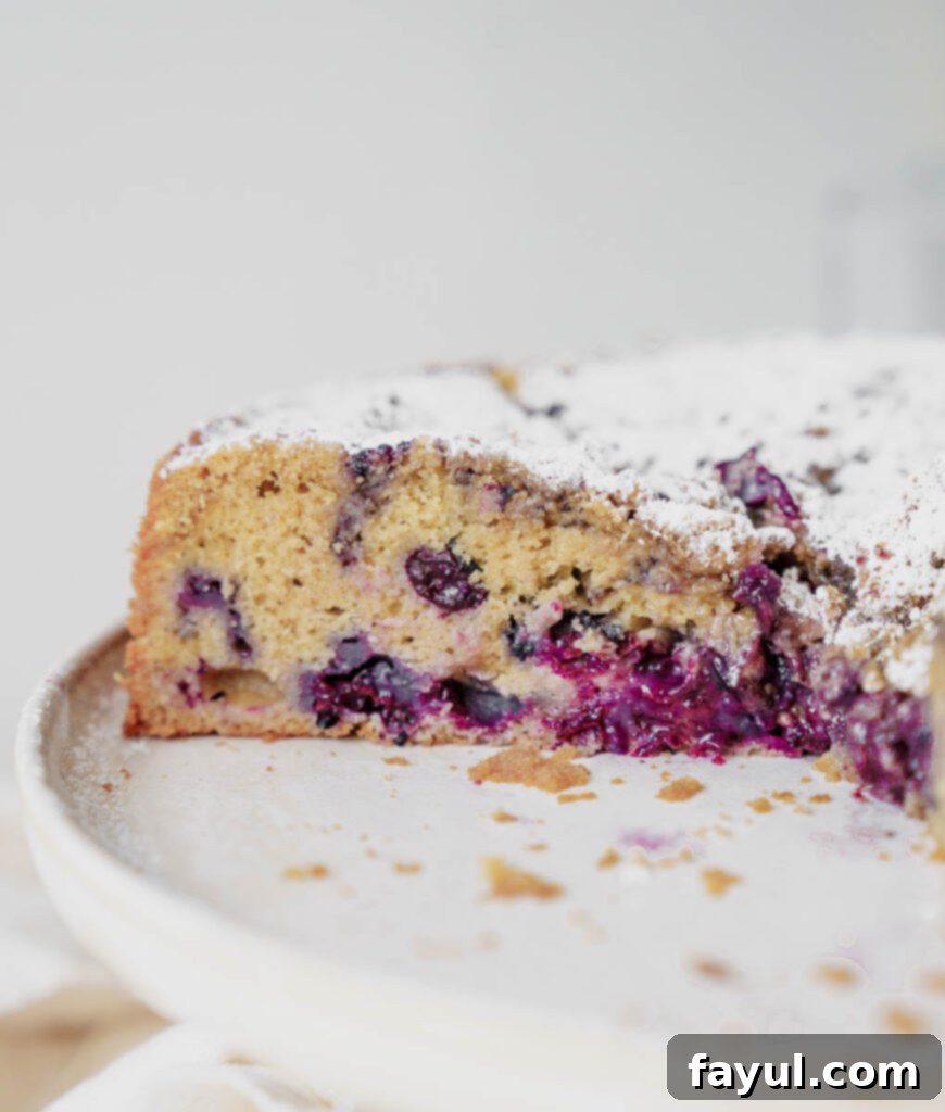 A whole blueberry coffee cake dusted with powdered sugar