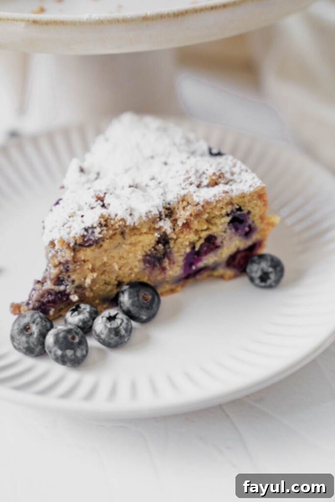 Close-up of blueberry coffee cake crumb