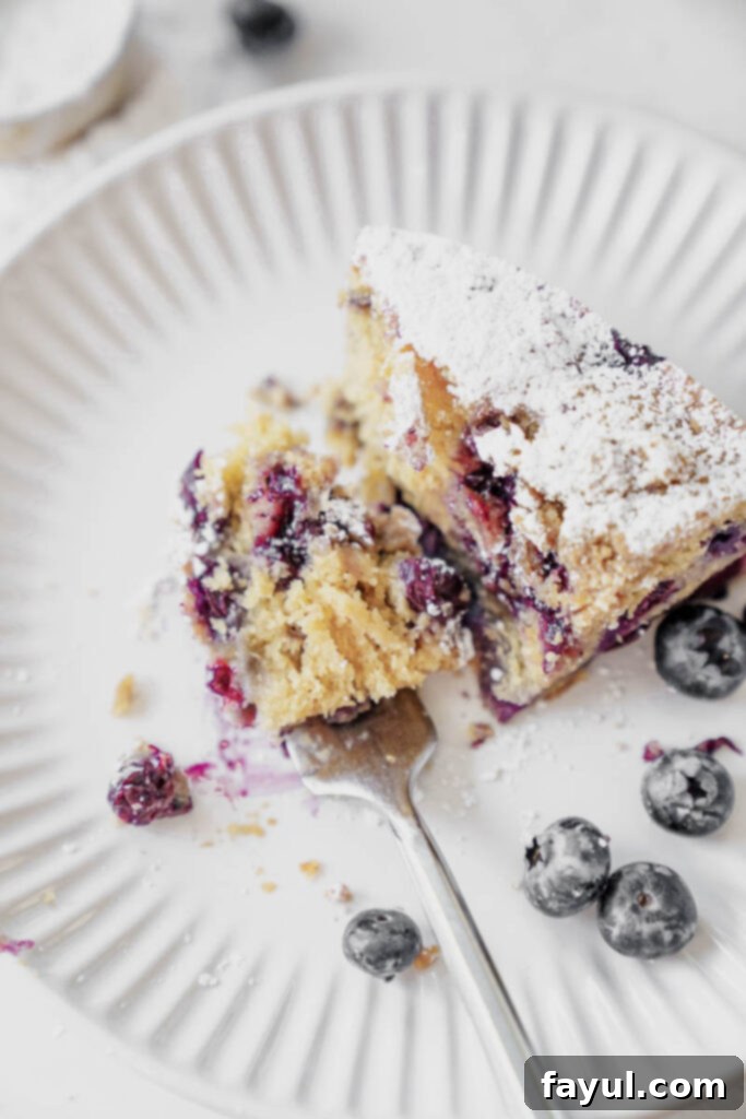 Fresh blueberries nestled in coffee cake batter